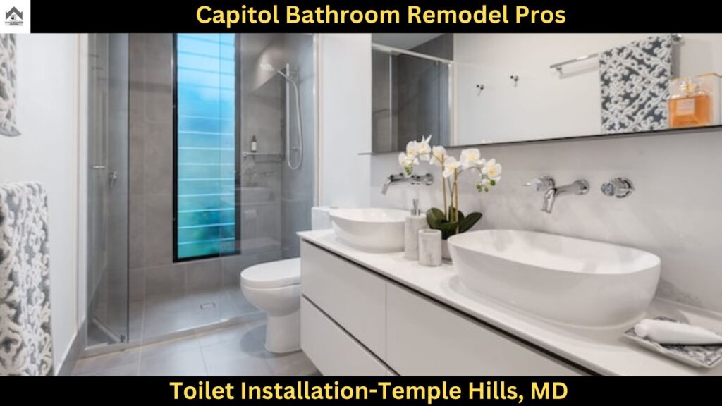 Toilet Installation in Temple Hills,MD